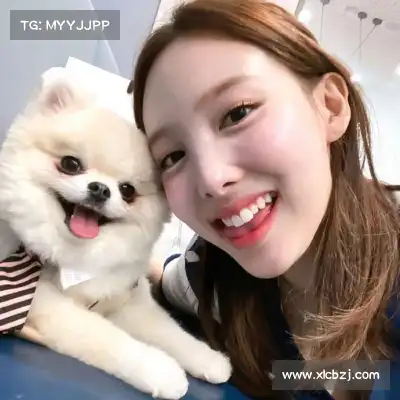 明锦柳